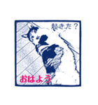 三毛猫タマと、インコのメロンで会話（個別スタンプ：15）