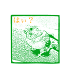三毛猫タマと、インコのメロンで会話（個別スタンプ：22）