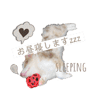 nico＆friends③（個別スタンプ：5）