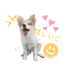 nico＆friends③（個別スタンプ：6）