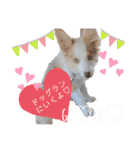 nico＆friends③（個別スタンプ：7）