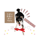 nico＆friends③（個別スタンプ：20）
