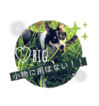 nico＆friends③（個別スタンプ：21）
