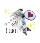 nico＆friends③（個別スタンプ：25）