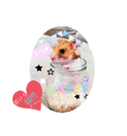 nico＆friends③（個別スタンプ：36）