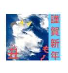 タロの雲（年末年始編）（個別スタンプ：7）