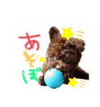 わんこのもちゃ（個別スタンプ：6）