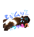 わんこのもちゃ（個別スタンプ：7）