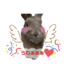 うさぎのもこ(受験バージョン)（個別スタンプ：3）