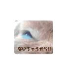 うさぎのもこ(受験バージョン)（個別スタンプ：4）