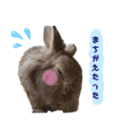 うさぎのもこ(受験バージョン)（個別スタンプ：16）