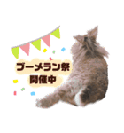 うさぎのもこ(受験バージョン)（個別スタンプ：20）