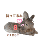 うさぎのもこ(受験バージョン)（個別スタンプ：21）