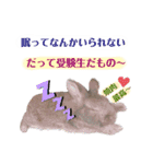 うさぎのもこ(受験バージョン)（個別スタンプ：31）