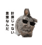 うさぎのもこ(受験バージョン)（個別スタンプ：35）