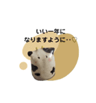 今年モォ〜よろしくスタンプ（個別スタンプ：8）