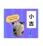 今年モォ〜よろしくスタンプ（個別スタンプ：31）
