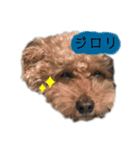 モコリリ①（個別スタンプ：7）