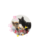 cute dogs。（個別スタンプ：5）