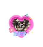 cute dogs。（個別スタンプ：8）