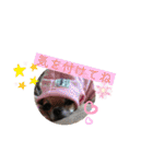 cute dogs。（個別スタンプ：9）