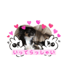 cute dogs。（個別スタンプ：10）