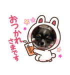 cute dogs。（個別スタンプ：11）