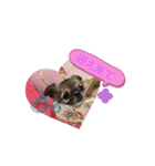 cute dogs。（個別スタンプ：17）