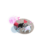 cute dogs。（個別スタンプ：19）