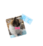 cute dogs。（個別スタンプ：21）
