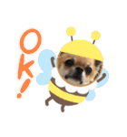 cute dogs。（個別スタンプ：24）