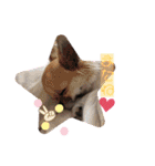 cute dogs。（個別スタンプ：26）