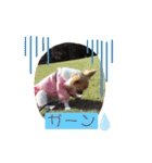 cute dogs。（個別スタンプ：31）