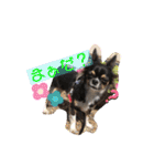 cute dogs。（個別スタンプ：35）