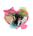 cute dogs。（個別スタンプ：39）