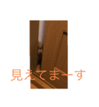 うちのこむさん②（個別スタンプ：7）