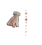 ちゃちゃ丸のチャチャ丸2（個別スタンプ：3）