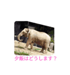 外出編（個別スタンプ：22）