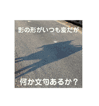 柴犬 琥鉄(こてつ)の日常スタンプ 2（個別スタンプ：10）