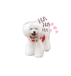 白ぷー♡シュッたん（個別スタンプ：1）