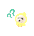 白ぷー♡シュッたん（個別スタンプ：2）