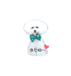 白ぷー♡シュッたん（個別スタンプ：3）