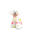 白ぷー♡シュッたん（個別スタンプ：4）