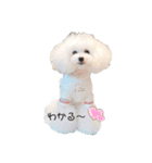白ぷー♡シュッたん（個別スタンプ：6）