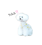 白ぷー♡シュッたん（個別スタンプ：7）