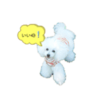 白ぷー♡シュッたん（個別スタンプ：8）