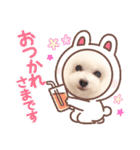 白ぷー♡シュッたん（個別スタンプ：10）