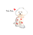 白ぷー♡シュッたん（個別スタンプ：11）