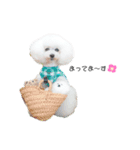 白ぷー♡シュッたん（個別スタンプ：13）