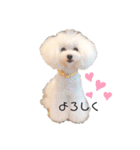 白ぷー♡シュッたん（個別スタンプ：14）